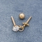 Rose Gold Ear Piercing Jewellery 316 Edelstahl-durchbohrende Bolzen 16G 8mm
